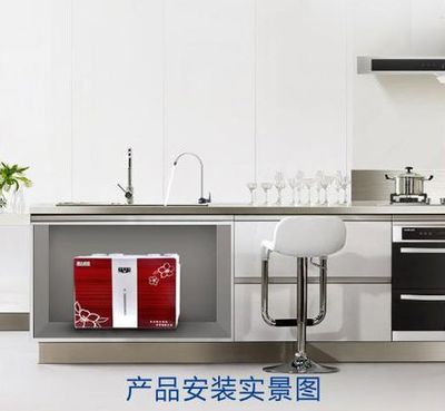 蘋果八代新款RO機凈水器 家用純水機的價格與廠家解析